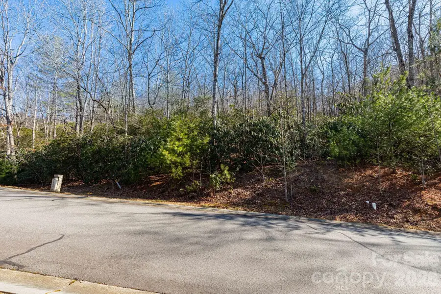 204 Settings Boulevard #247, Black Mountain, NC 28711 - Image #3