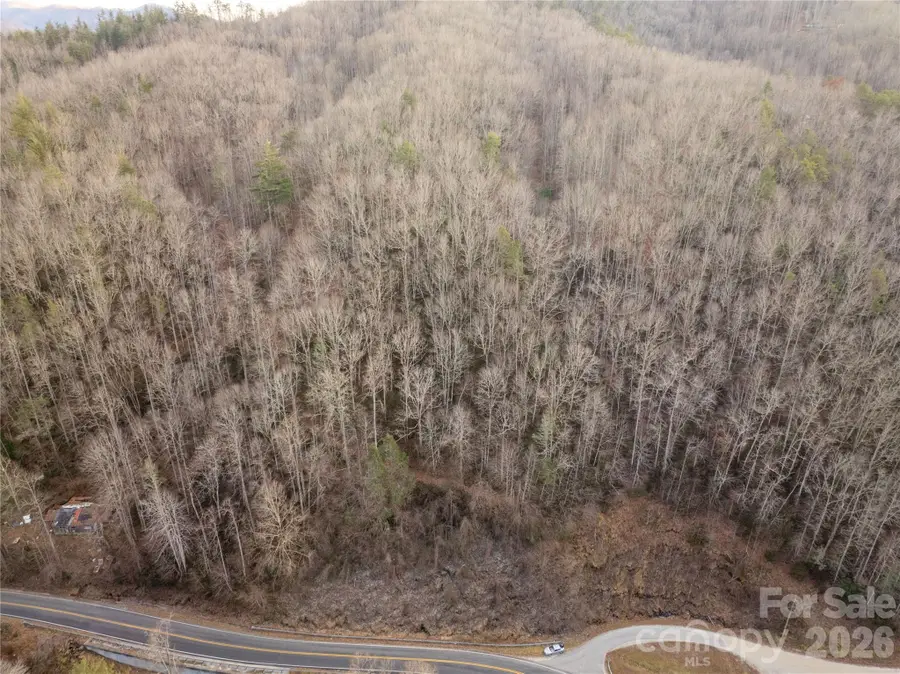 9180 Lower Alarka Road, Bryson City, NC 28713 - Image #2