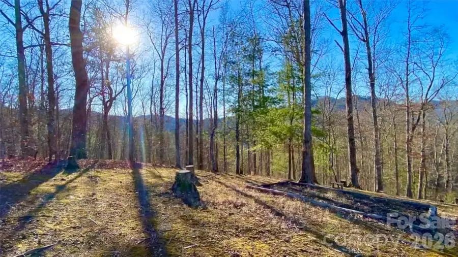 288 Rebel Drive, Hot Springs, NC 28743 - Image #3