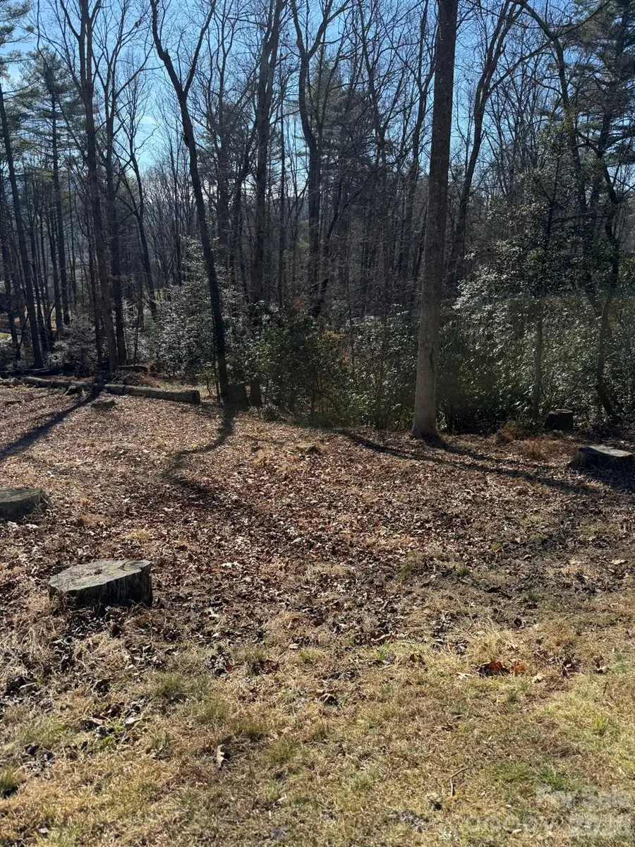 9999 Rockbrook Overlook, Brevard, NC 28712 - Image #3