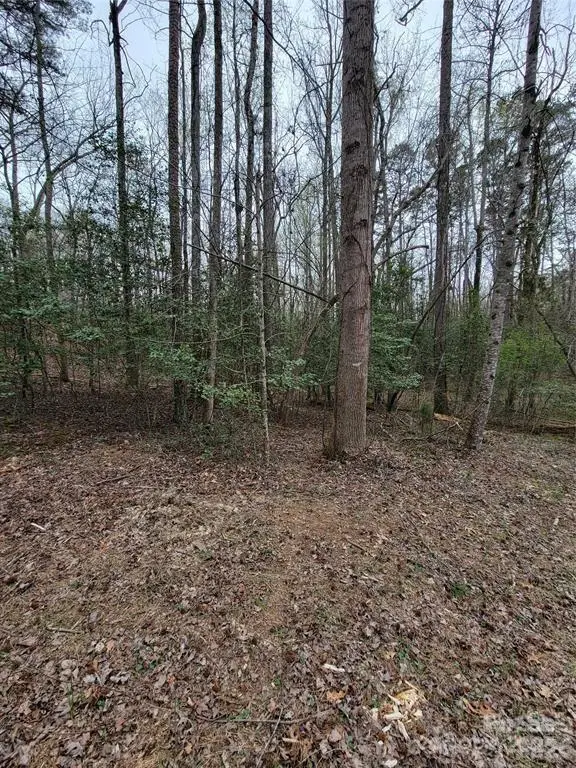 Vacant Elmwood Drive, Troy, NC 27371 - Image #2