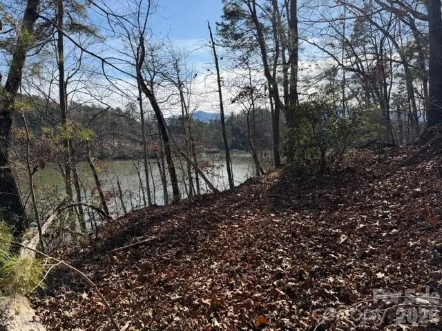 37 Peninsula Drive, Mill Spring, NC 28756 - Image #2