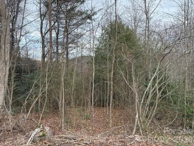 0 S Old Nc 18 Highway S, Connelly Springs, NC 28612 - Image #2