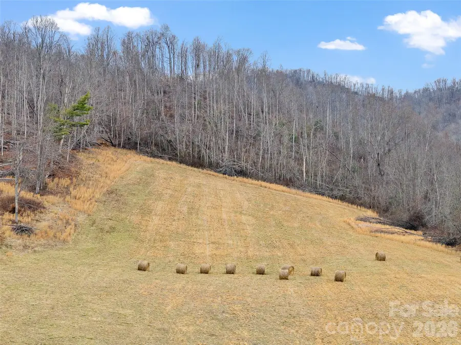 784 Green Young Cemetery Road, Bakersville, NC 28705 - Image #3