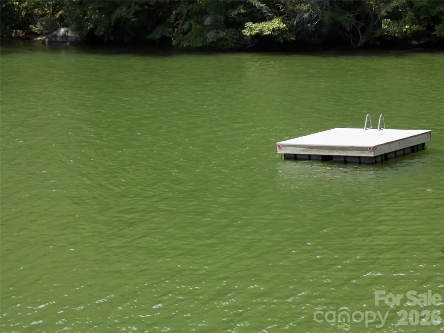 0 Falls View Trail #Lot 52, Lake Lure, NC 28746 - Image #3