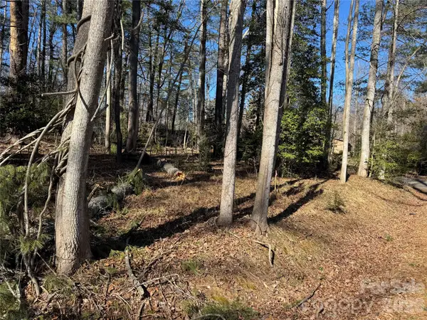 133 Springside Road, Asheville, NC 28803