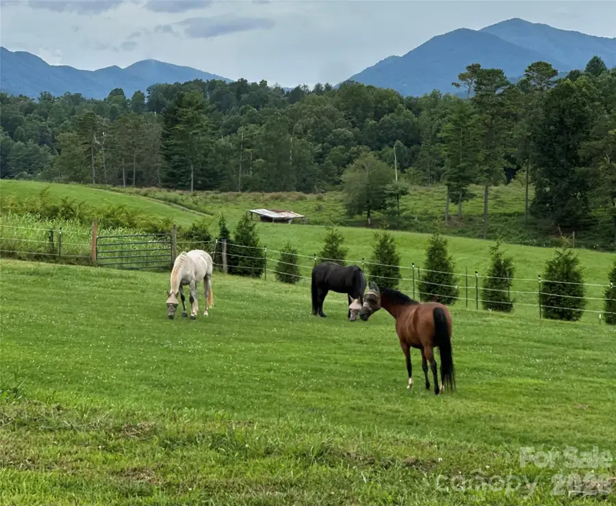 1552 Bear Creek Road, Leicester, NC 28748 - #2