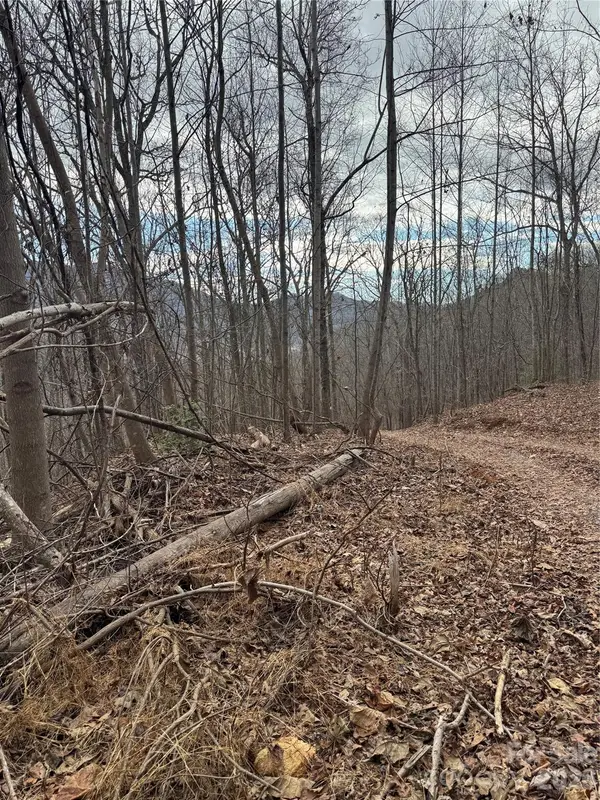 99999 Penland Road, Hayesville, NC 28904