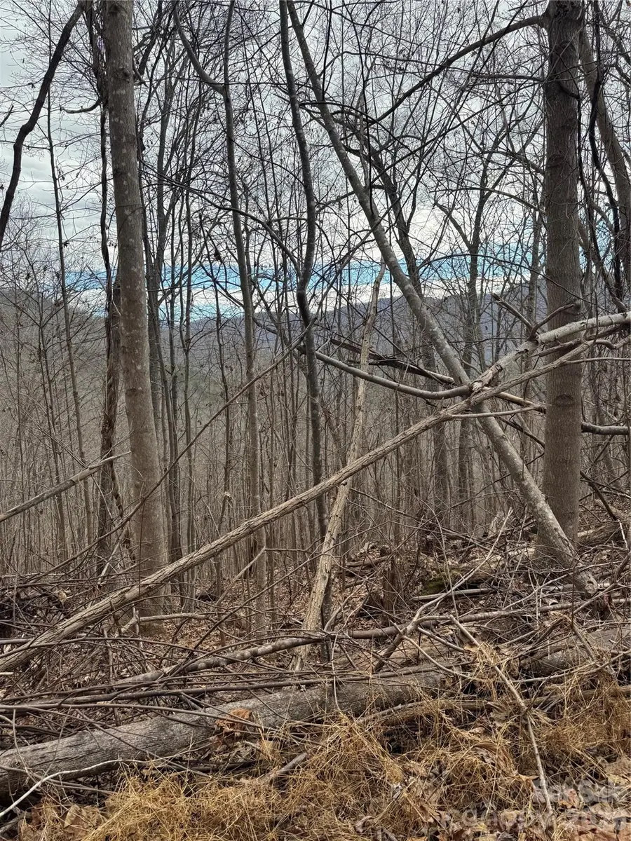 99999 Penland Road, Hayesville, NC 28904 - Image #2