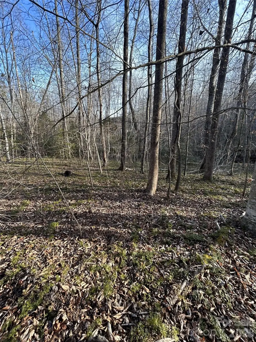 Lot 24 Double Eagle Drive #24, Nebo, NC 28761 - Image #3
