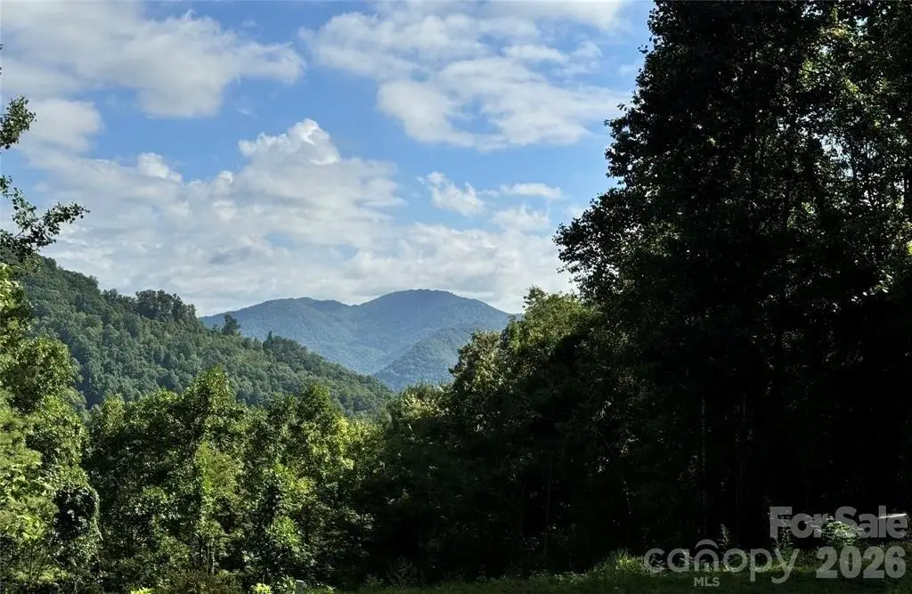 350 Scotts Trail, 8 Spring Creek, NC 28743 - #1