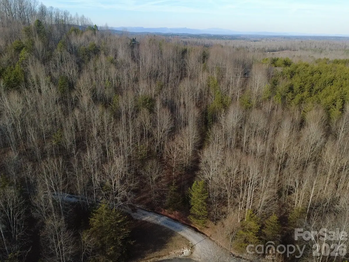 Lot 23 & 24 Double Eagle Drive #23 & 24, Nebo, NC 28761 - #1