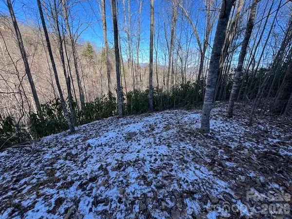 621 Round Top Road, Almond, NC 28702