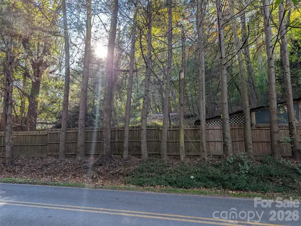 222 Reeves Cove Road, Candler, NC 28715