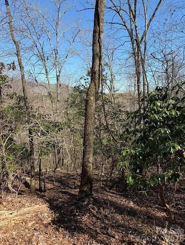 0 Royal Oaks Trail, Brasstown, NC 28902