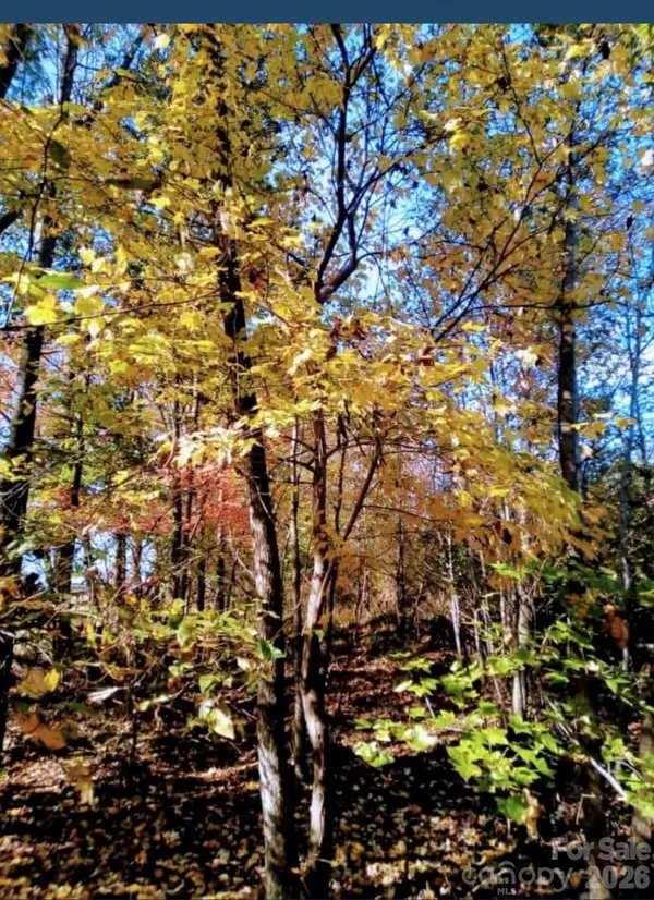 0000 Potter Road, Waxhaw, NC 28173