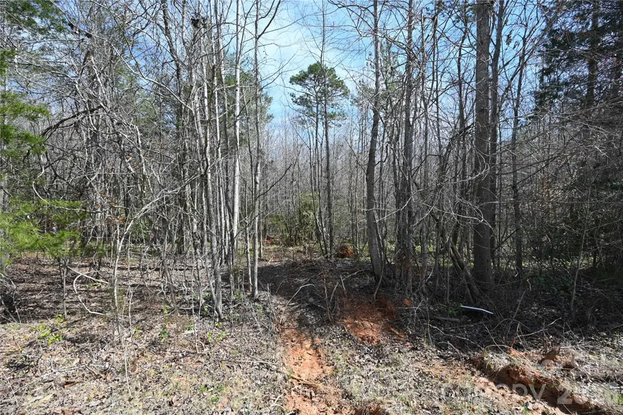 000 E Bells Branch Road #4, Blacksburg, SC 29702 - Image #3