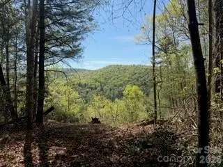 0 Green River Road, Zirconia, NC 28790 - #1