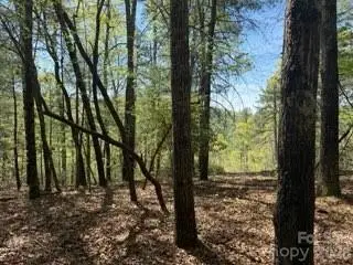 0 Green River Road, Zirconia, NC 28790 - #2