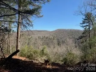 0 Green River Road, Zirconia, NC 28790 - #3