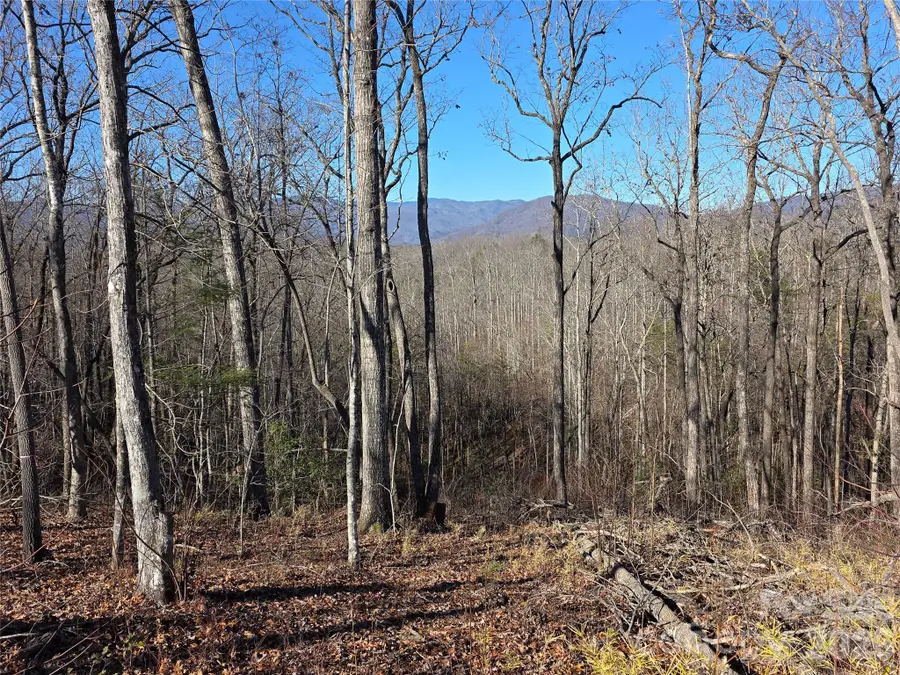 Lot 2 Warren Ridge Road, Old Fort, NC 28762 - Image #3