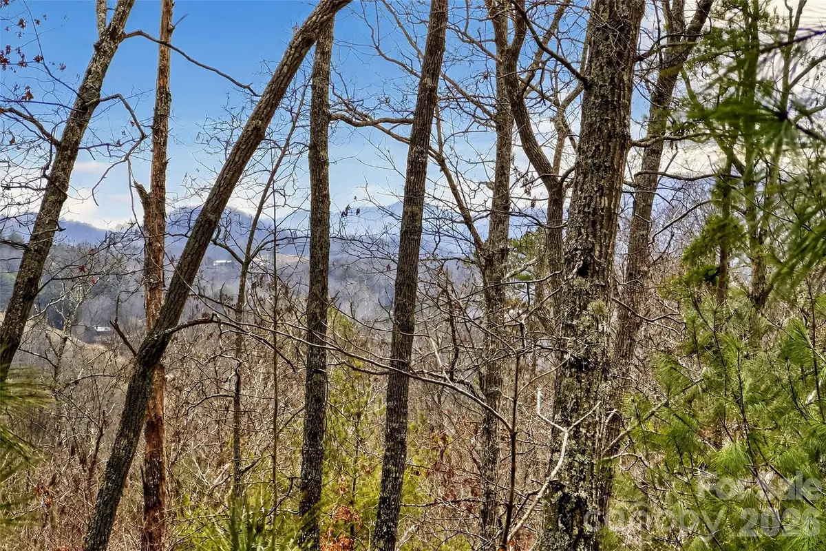 149 Turkey Trot Trail #17, Marshall, NC 28753 - Image #1