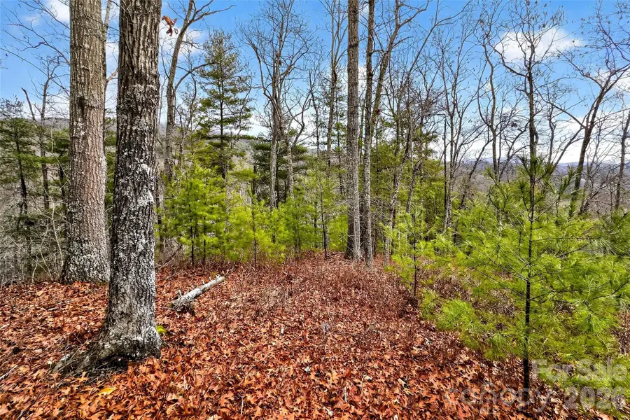 149 Turkey Trot Trail #17, Marshall, NC 28753 - Image #3