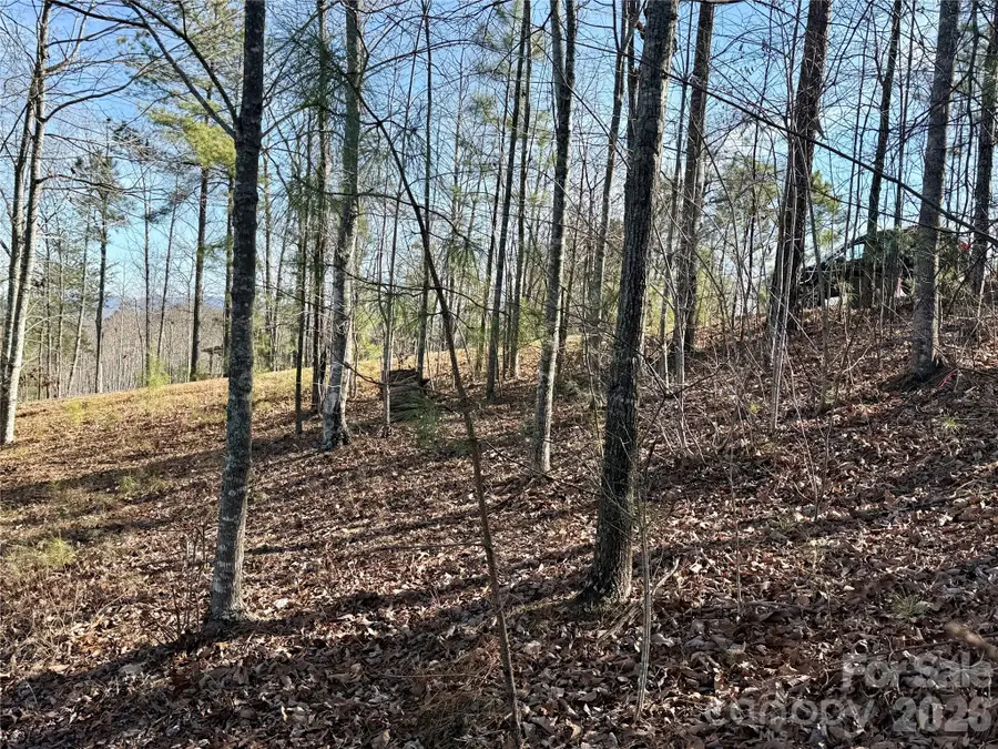 338 Grandview Peaks Drive #36, Nebo, NC 28761 - Image #3