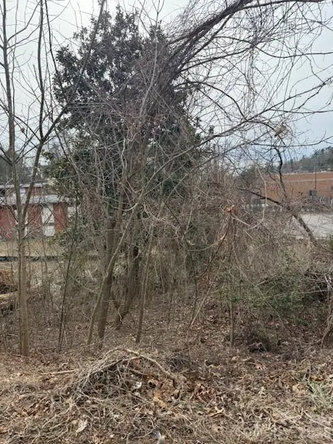 33 Johnson Drive #1, Asheville, NC 28804 - Image #1