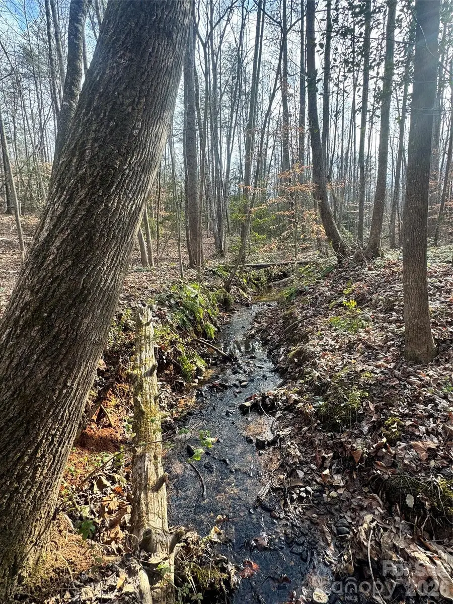 0 Hudlow Road, Rutherfordton, NC 28139 - #2