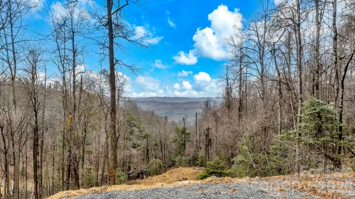TBD Phillips Gap Road, Purlear, NC 28665 - Image #1