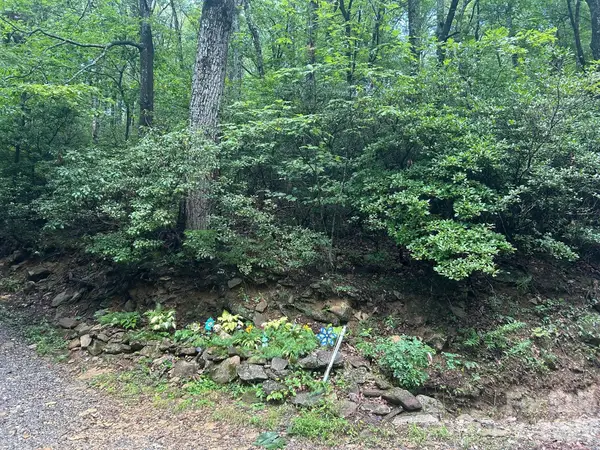 0 Pine Ridge Road #21, Hendersonville, NC 28792