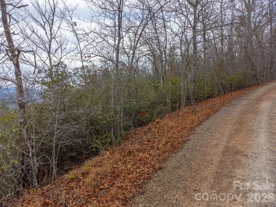 9999 Lower Burningtown Road, Franklin, NC 28734 - Image #2