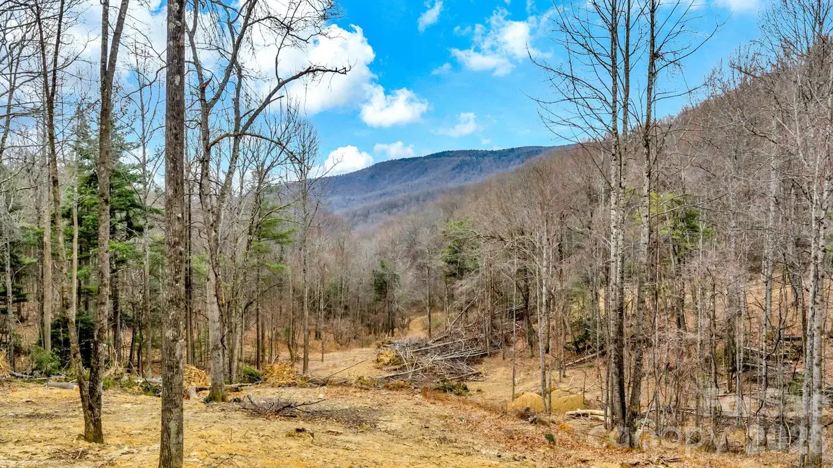 TBD Phillips Gap Road, Purlear, NC 28665 - Image #1