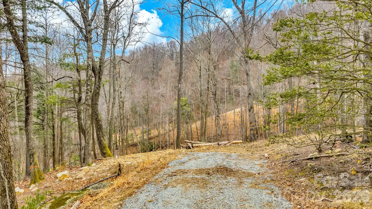 TBD Phillips Gap Road, Purlear, NC 28665 - Image #1