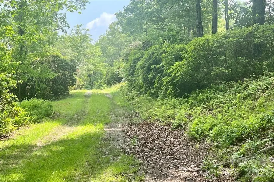 Lot 10 Joshua Road, Rosman, NC 28772 - #3