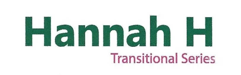 261 Corrie Ann Drive, Concord, NC 28027 - Image #3