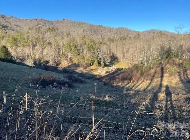 00000 Shelton Laurel Road, Clyde, NC 28721 - Image #1