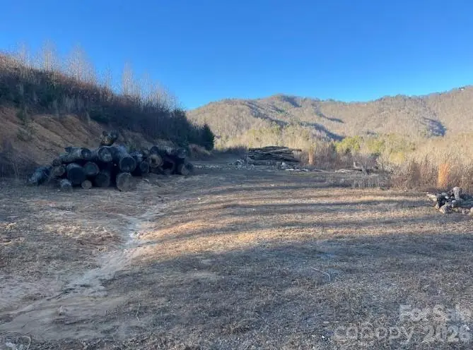 00000 Shelton Laurel Road, Clyde, NC 28721 - Image #2