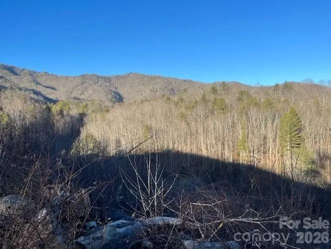 00000 Shelton Laurel Road, Clyde, NC 28721 - Image #3