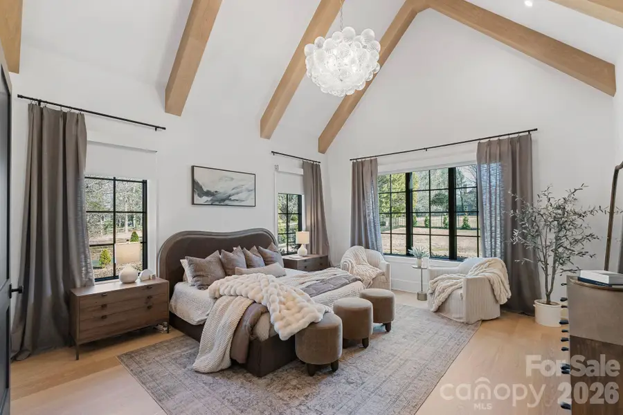 20320 Havenview Drive, Cornelius, NC 28031 - Image #3