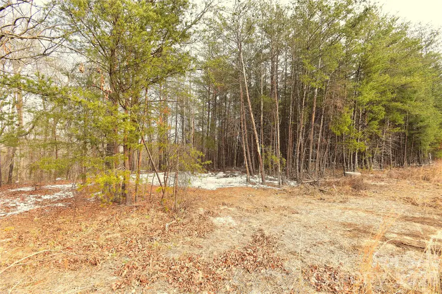 00 King Stepp Road, Mill Spring, NC 28756 - Image #3