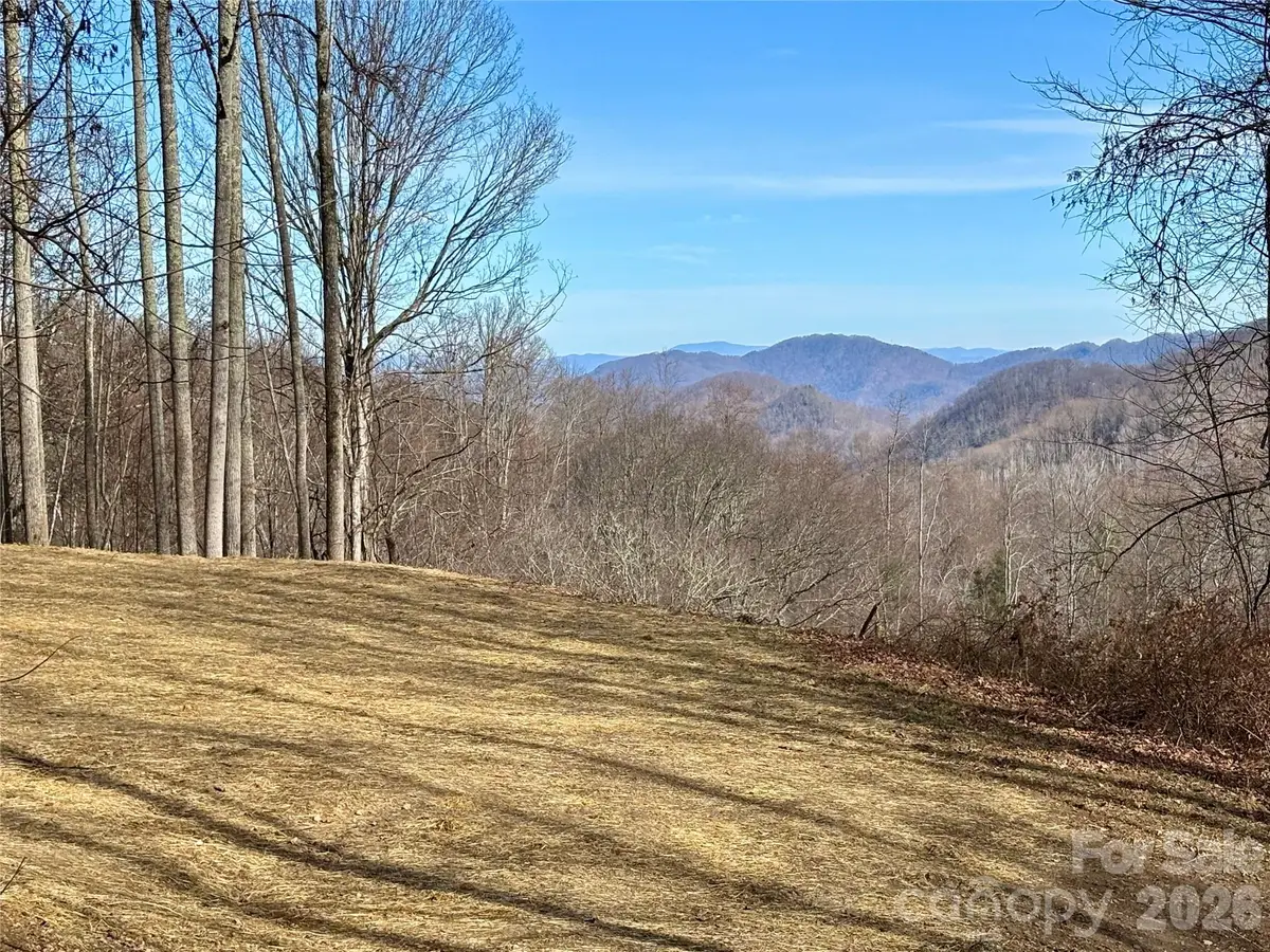 (NE Lot) Meadow Fork Road, Hot Springs, NC 28743 - #1
