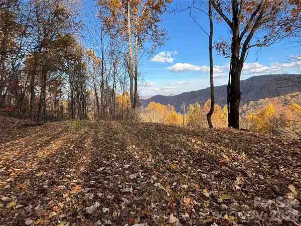 (North Lot) Meadow Fork Road, Hot Springs, NC 28743