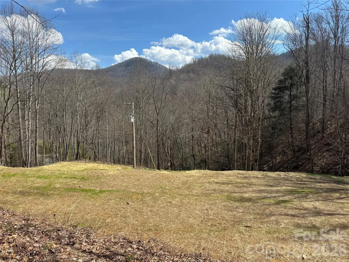 (South Lot) Meadow Fork Road, Hot Springs, NC 28743 - #1
