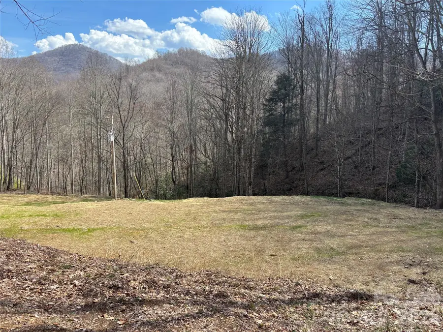 (South Lot) Meadow Fork Road, Hot Springs, NC 28743 - #2