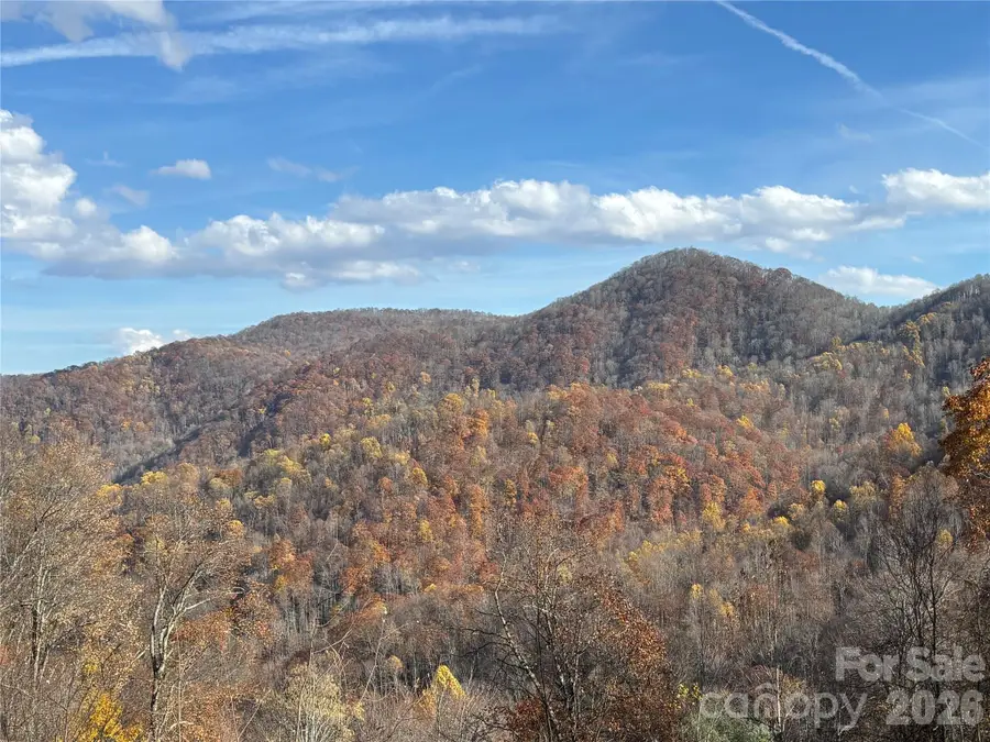 (West Lot) Meadow Fork Road, Hot Springs, NC 28743 - #2
