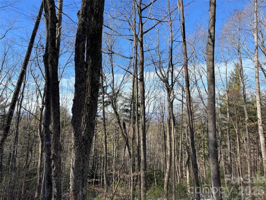 TBD (Lot 8) Woodland Ridge, Lansing, NC 28643 - #2