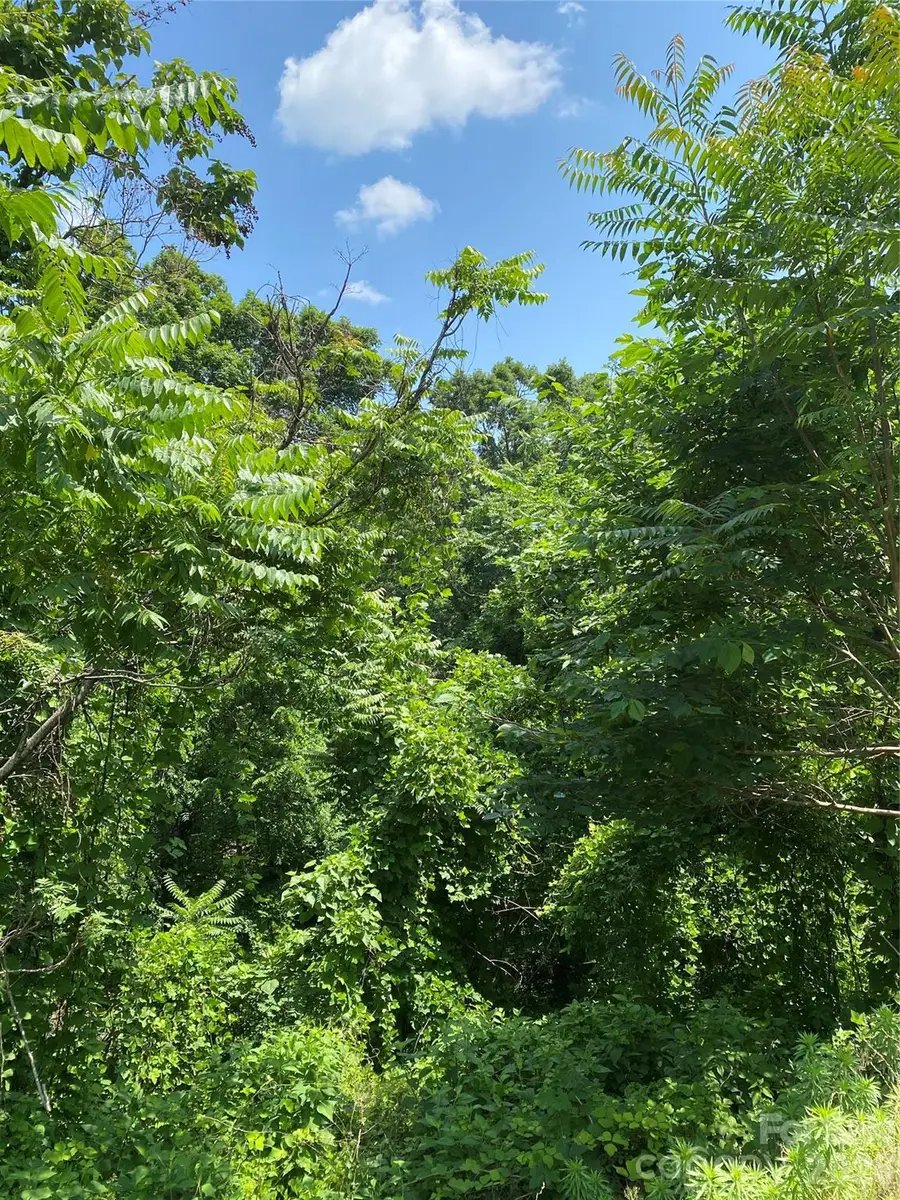 336 Willow Top Lane #336, Lake Lure, NC 28746 - #3