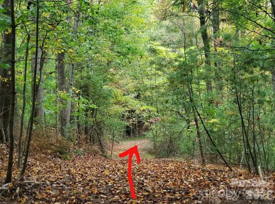 00 Hickory Wood Trail #20,21, Hendersonville, NC 28739 - Image #3